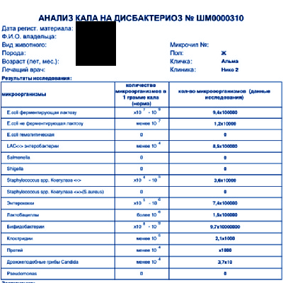 Анализ кала на дисбактериоз